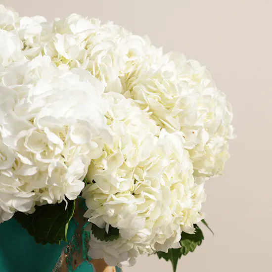 Ethereal White Hydrangea Vase