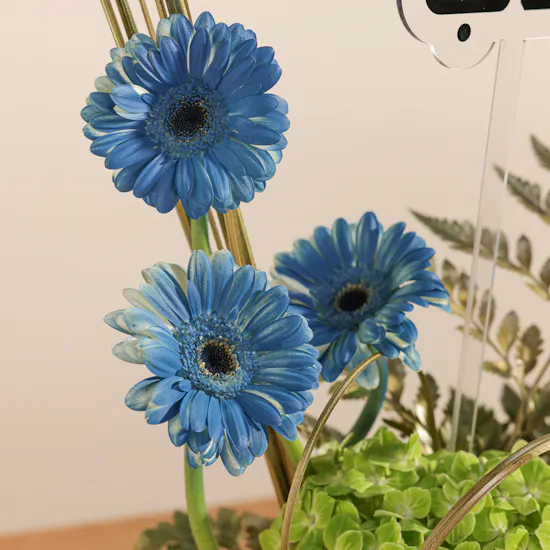 Floward 250 KWD Card and Chocolate Box | Father's Day Flower Vase