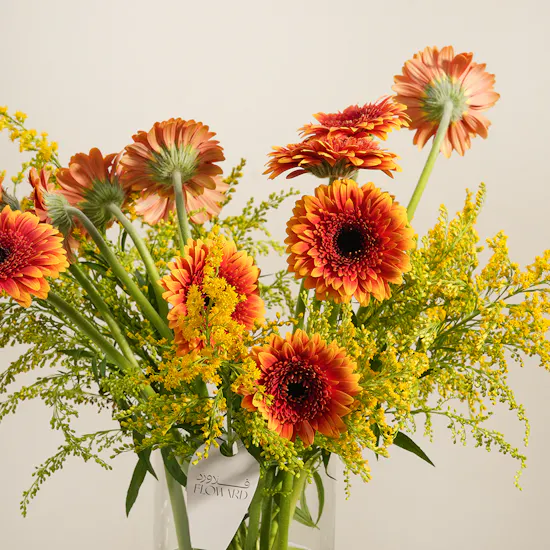 Golden Reverie Gerbera Vase