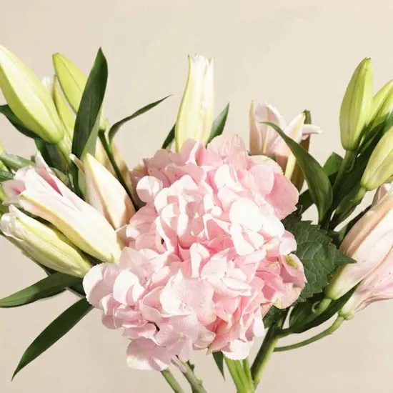 Magic of Blush Flower Vase