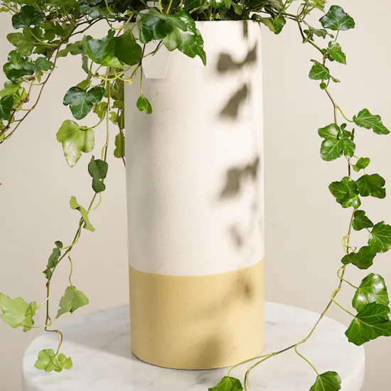 Emerald Hedera Plant Vase