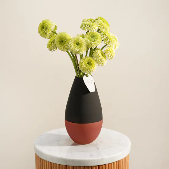 Garden Veil Gerbera Vase