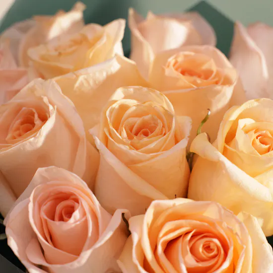 Patchi Les Chocolates Box | Serenity Roses Bouquet