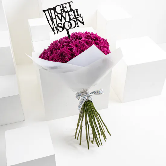 Purple Chrysanthemums Get Well Soon