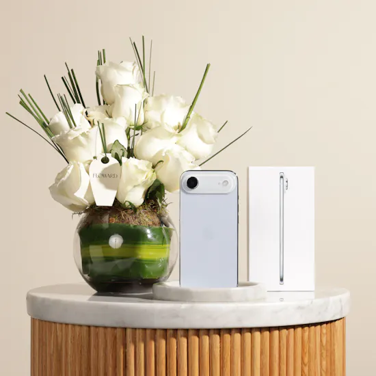 Apple Sky Blue iPhone 17 Air 256 GB | Charming Flower Vase