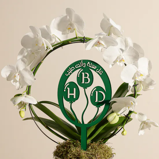 Elegant Birthday Phalaenopsis Plant
