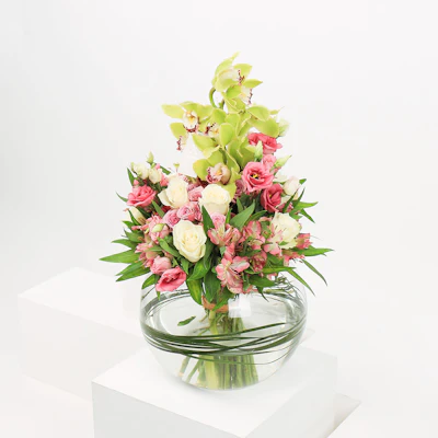 مزهرية مبهجة | 39 زهرة مزهرية مبهجة | 39 زهرة