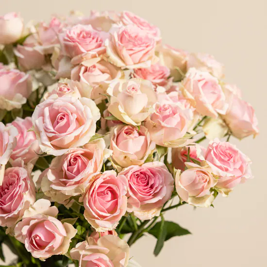Nno Pink Baby Rose Fruta Vase