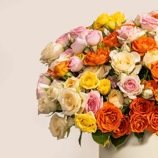 Sweet Daze Roses Box