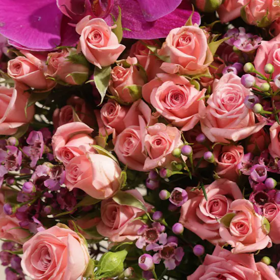 Blush Symphony Vase