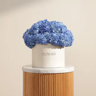 Stunning Blue Hydrangea Box | 15 Flowers 