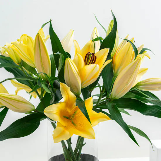 Yellow lily | Get well soon Vase