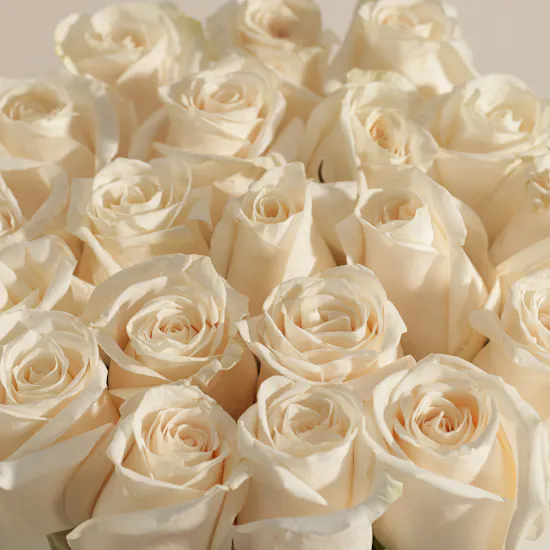 White Roses Box