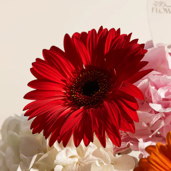 Vibrant Elegance Flowers Vase