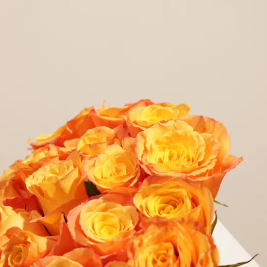 Al Malaky Royal Sidr and Samar Honey and Dates with Nuts Box | Flowers Box
