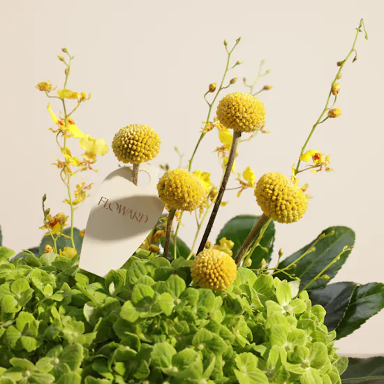 Summer Breeze Flower Shell Vase
