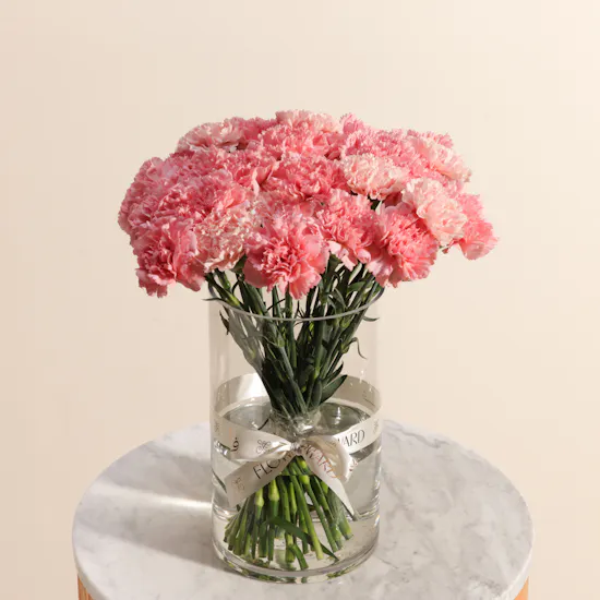 Elegant Pink Carnation Vase