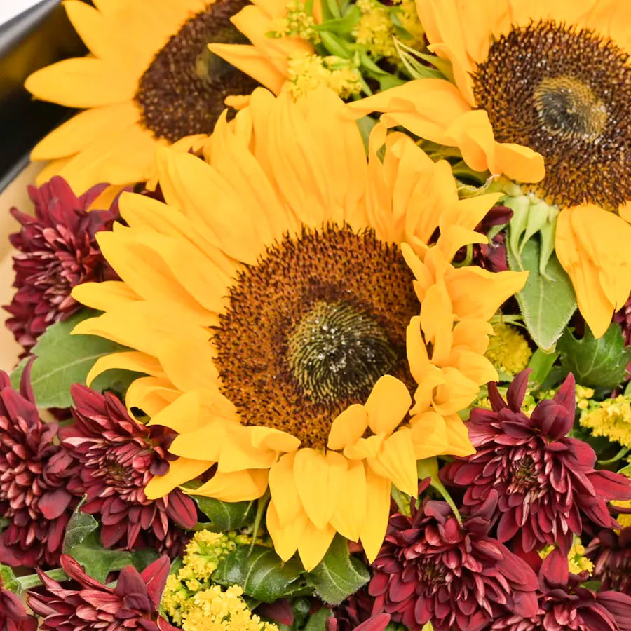 Warm Sunflowers  3