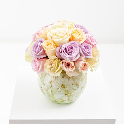 Mini Candy Mini Candy