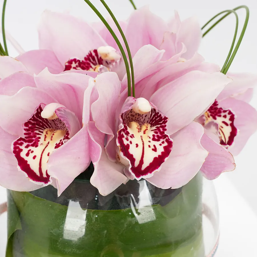 Tom Ford Perfume | Flowers  4