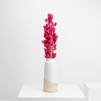 Tip of the Day Vase with Dried Flowers IV
