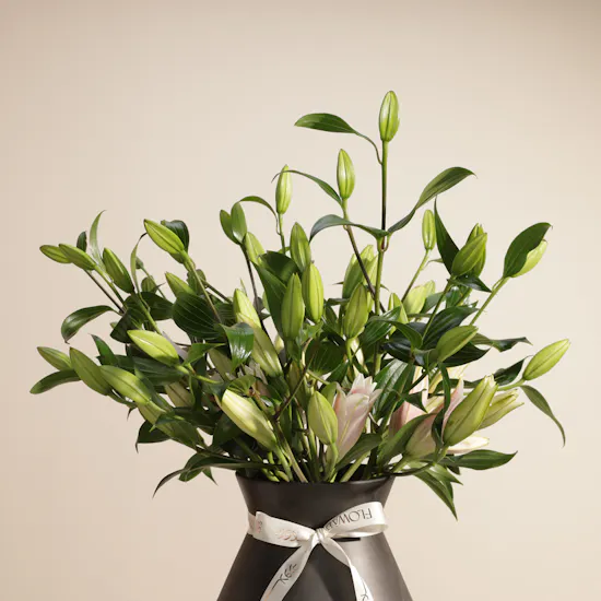 Charm Bloom Pink Lily Vase