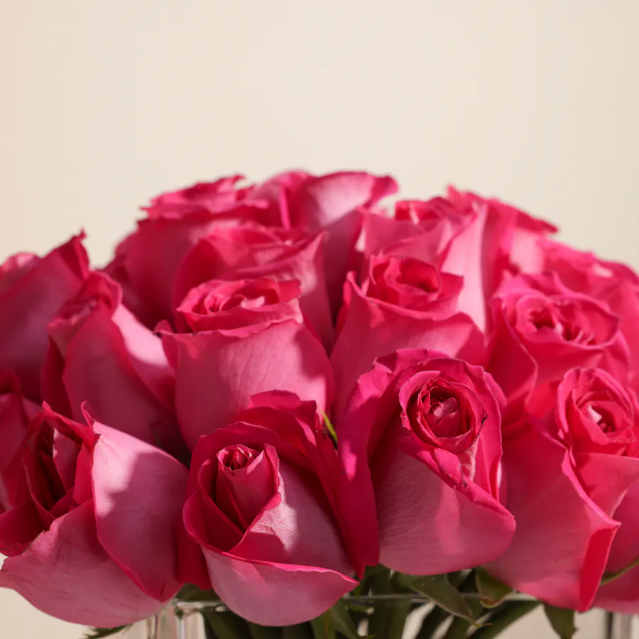 Fuchsia Elegance Vase | 35 Roses 4