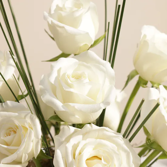 Royal White Roses Vase