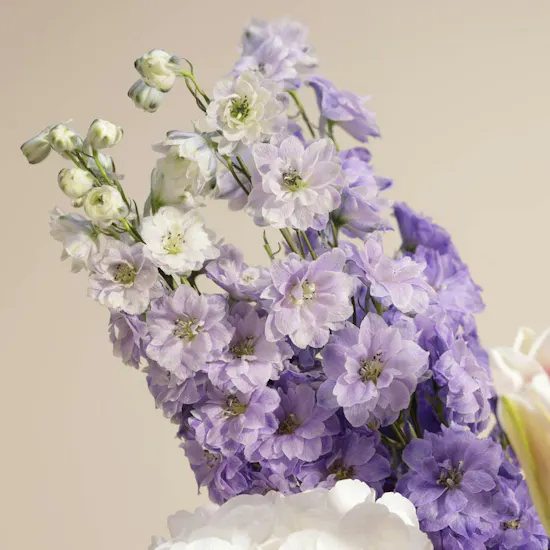 Blossom Heaven Flowers Vase By September Studio