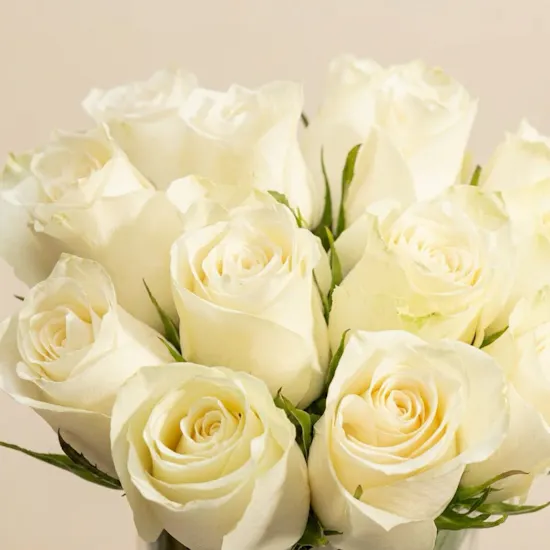 Magic Love White Roses Vase