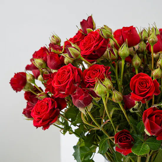 Valentine Day Enchaned Vase