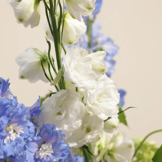 Delphinium Cloud Vase