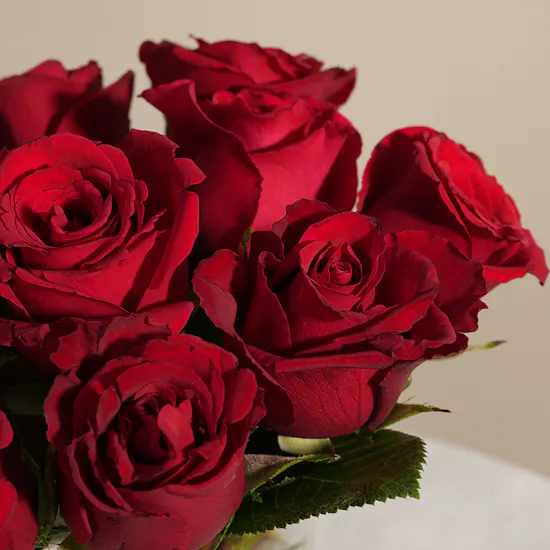 Scarlet Symphony Rose Vase | 10 Flowers