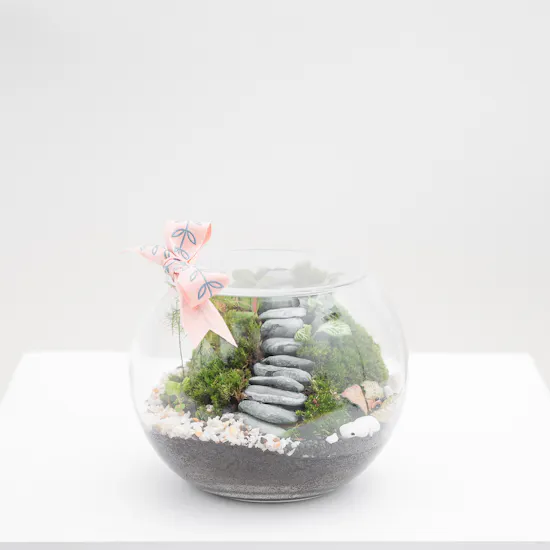 Refreshing Tropical Garden | Closed Terrarium