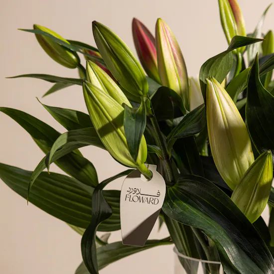 Marvelous Lilies | Glass Vase