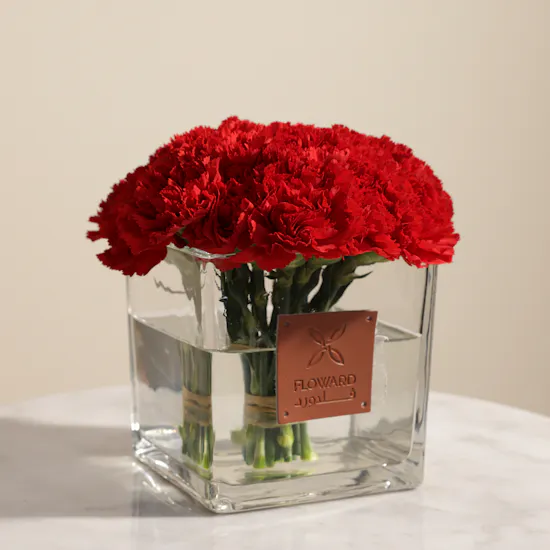25 Red Carnations | Square Vase