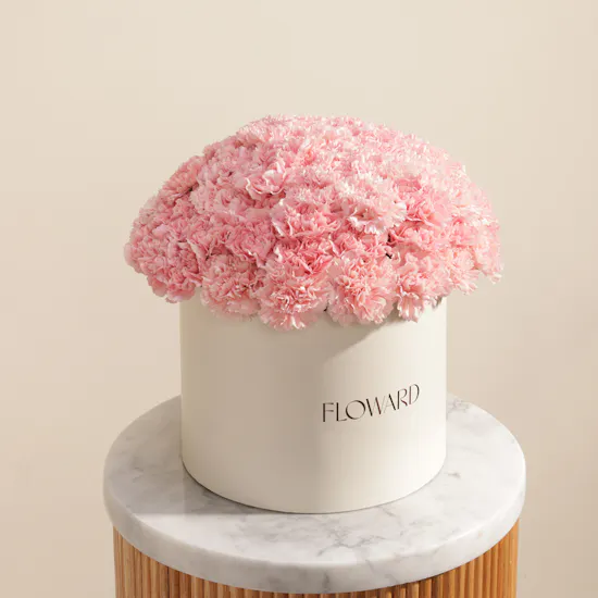 Serene Pink Carnation Box | 75 Flowers