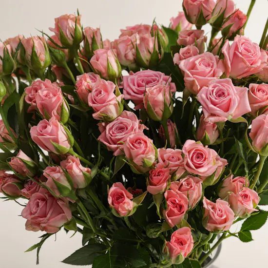 Pink Lovely Thoughts Baby Rose Vase | 18 Flowers