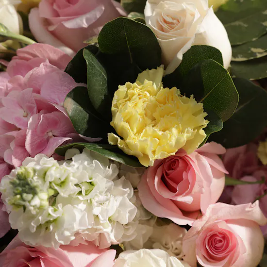 Royal Symphony Flowers Box