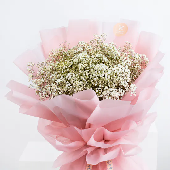 Gypso Lover | Pink Wrap