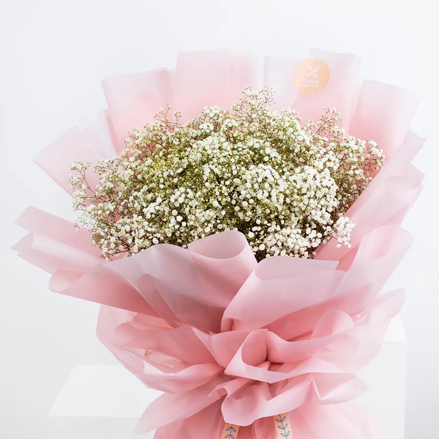 [USED IN AUTOMATION] Gypso Lover | Pink Wrap 5