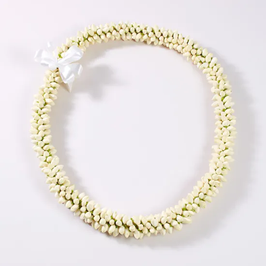 Jasmin Flowers Necklace