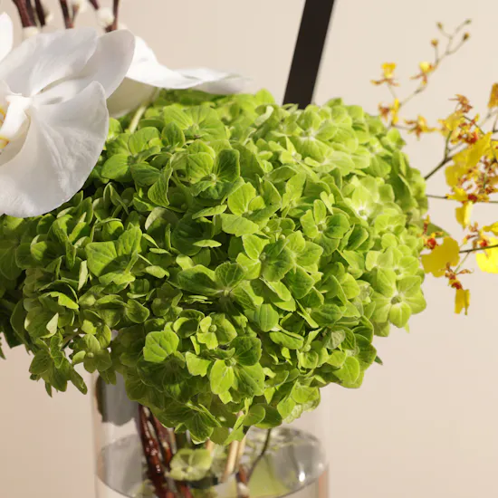 Glory of Heritage Flowers Vase