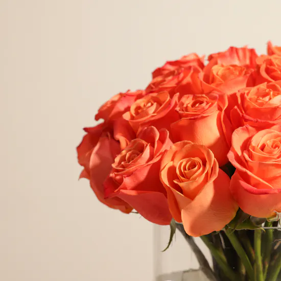 Orange Roses Vase | 35 Flowers