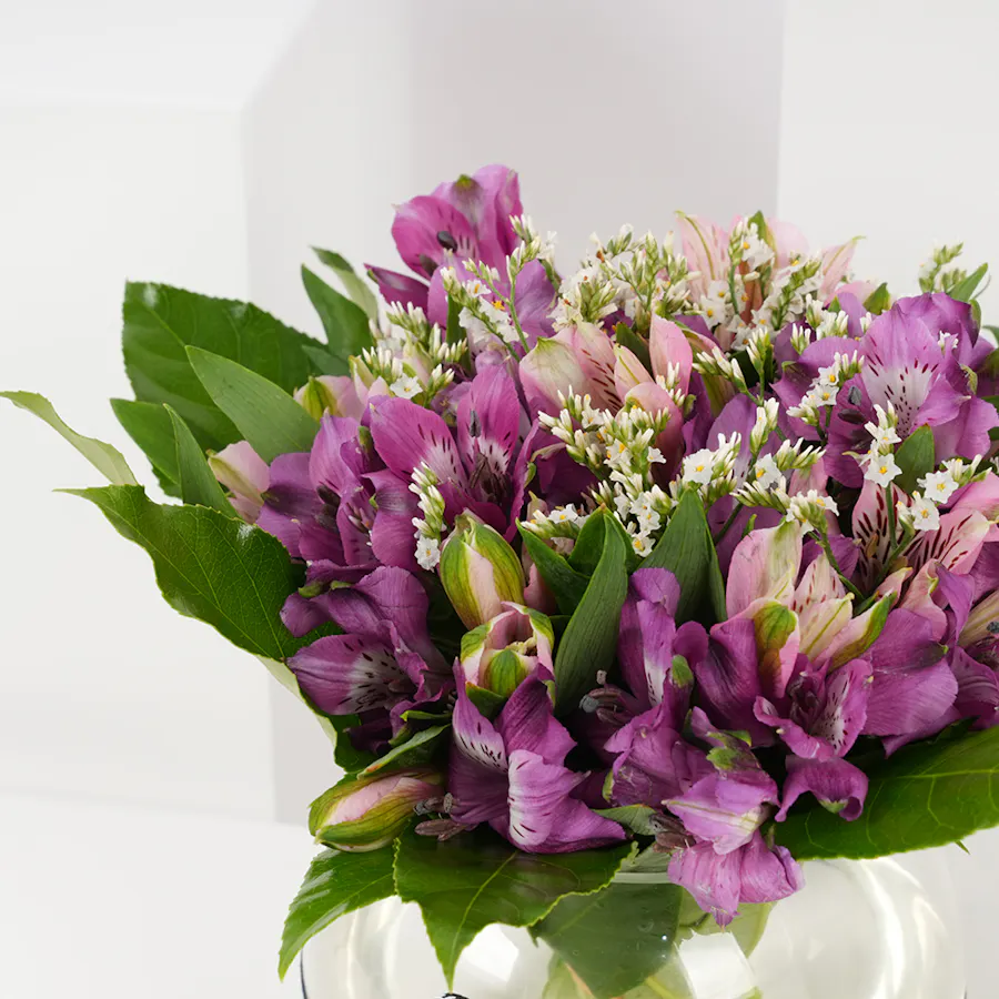 B_Fit Gym Membership | Alstroemeria 5
