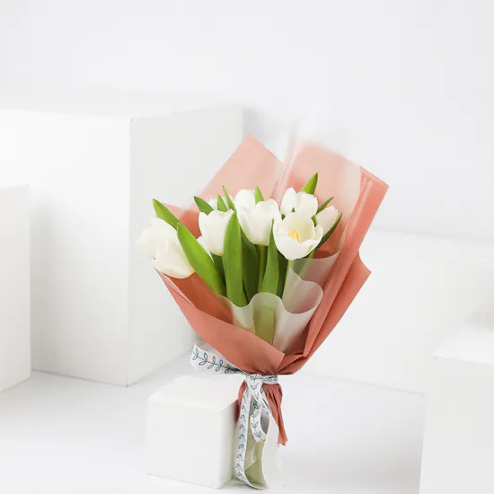 White Tulip | Pink Wrap