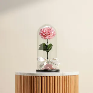 Pink Single Preserved Rose Dome 
