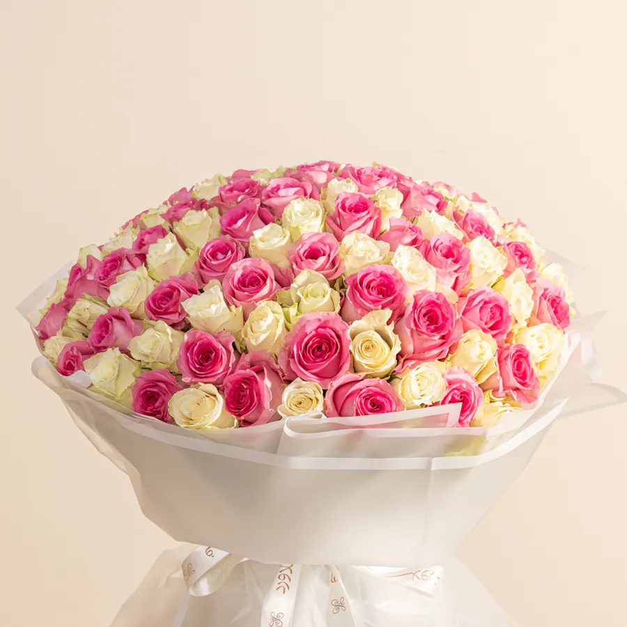 150 White and Revival Rose  3