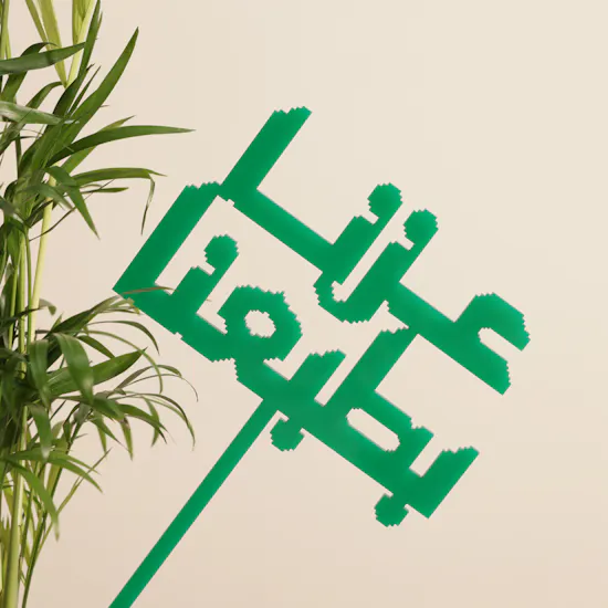 نبات شاميدوريا جذور المجد