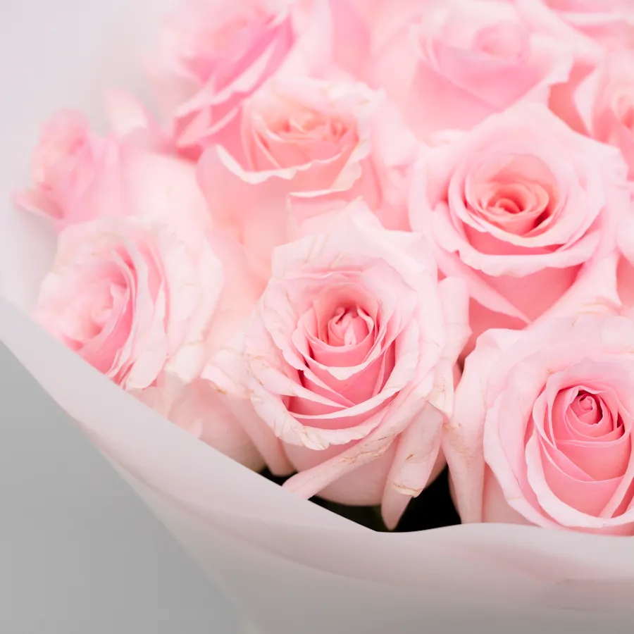 Tous Silver Mesh Bracelet Bear Motif | Light Pink Roses Bouquet  3